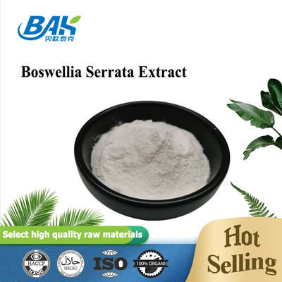 پودر مکمل غذایی 65% 90% عصاره ماستینیک اسید Boswellia Serrata