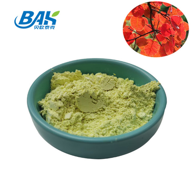 پودر مکمل غذایی CAS 528-48-3 پودر کوتینوس عصاره فیستین 10٪ - 98٪