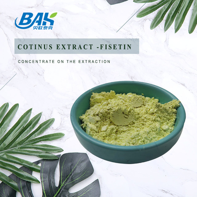 پودر مکمل غذایی CAS 528-48-3 پودر کوتینوس عصاره فیستین 10٪ - 98٪