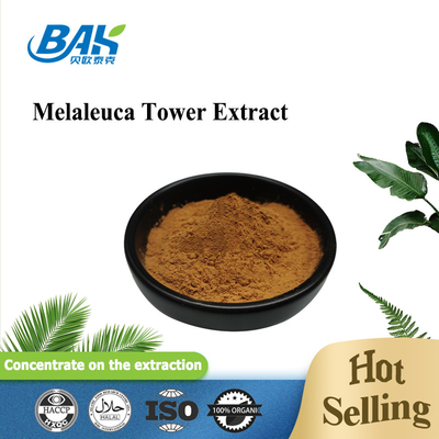 پودر Huperzia Serrate Huperzine A 1% Extract