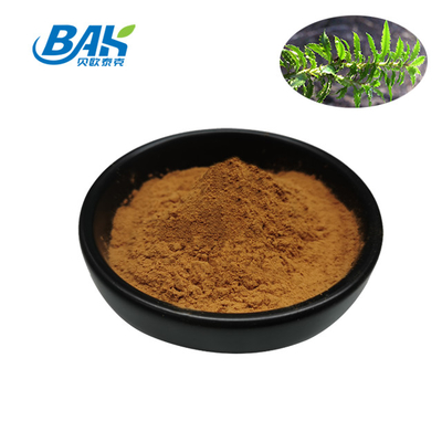 پودر Huperzia Serrate Huperzine A 1% Extract