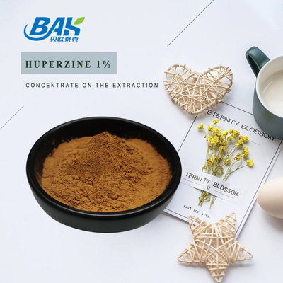 پودر Huperzia Serrate Huperzine A 1% Extract