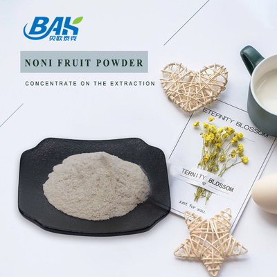 تقویت ایمنی پودرهای میوه و سبزیجات پودر میوه Noni 80 Mesh