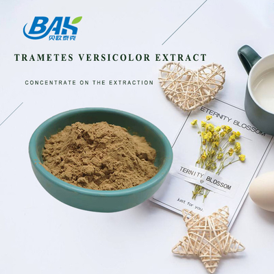 10٪ - 50٪ Trametes Versicolor Extract پودر مکمل عصاره قارچ