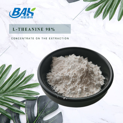 3081-61-6 پودر عصاره چای سبز تیانین 98% عصاره گیاهی طبیعی برای رژیم غذایی سالم