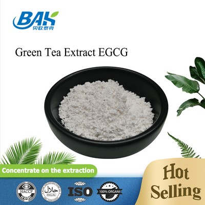 اکسترات چای سبز EGCG CAS NO 989-51-5 Epigallocatechin Gallate 98٪ پودر سفید