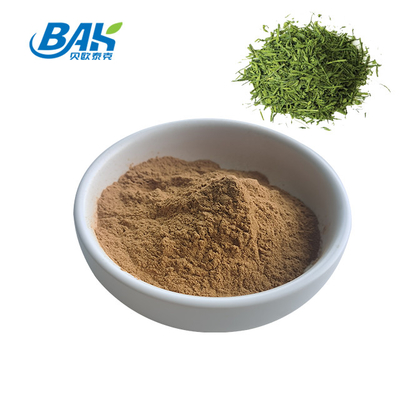 پودر چای فوری محلول در آب پودر عصاره چای سبز MOQ 1kg