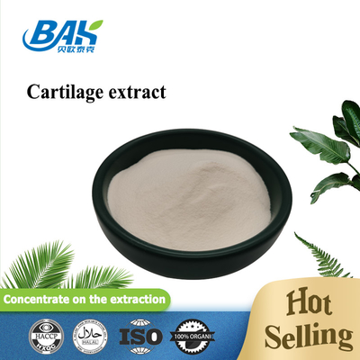 25% پودر پروتئین پپتیدی عصاره غضروف کلاژن نوع II