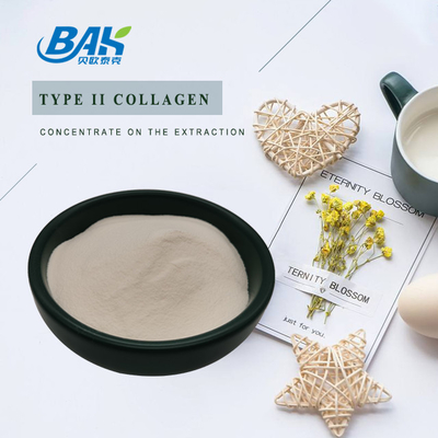 25% پودر پروتئین پپتیدی عصاره غضروف کلاژن نوع II