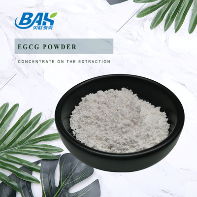 اکسترات چای سبز EGCG CAS NO 989-51-5 Epigallocatechin Gallate 98٪ پودر سفید