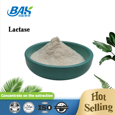مواد غذایی پودر لاکتاز افزودنی های غذایی طبیعی 100000 ALU/G