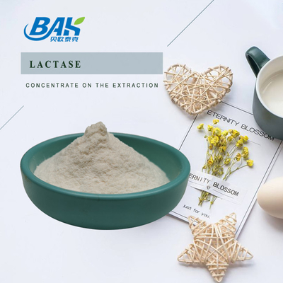 مواد غذایی پودر لاکتاز افزودنی های غذایی طبیعی 100000 ALU/G