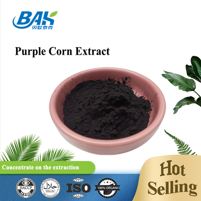 BAK Factory عمده فروشی آنتوسیانین 35٪ Zea Mays عصاره ذرت بنفش پودر بنفش تیره