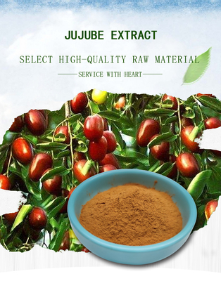 عصاره Fructus Ziziphi Jujubae Polysaccharide پودر ریز زرد روشن 40%