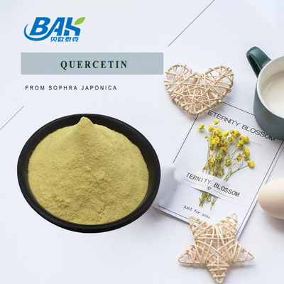 پودر محافظ کبد Sophora Japonica L Quercetin 10 تا 95%