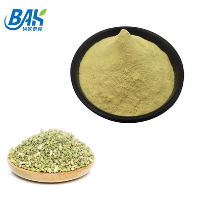 پودر محافظ کبد Sophora Japonica L Quercetin 10 تا 95%