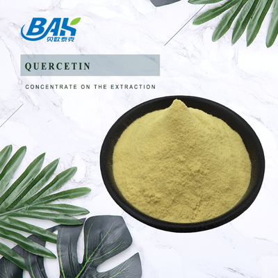 پودر محافظ کبد Sophora Japonica L Quercetin 10 تا 95%