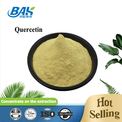 پودر محافظ کبد Sophora Japonica L Quercetin 10 تا 95%