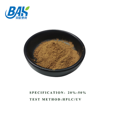 فروش داغ HPLC UV Bacopa Monnieri استخراج پودر قهوه ای زرد 100٪ عبور 80 میش