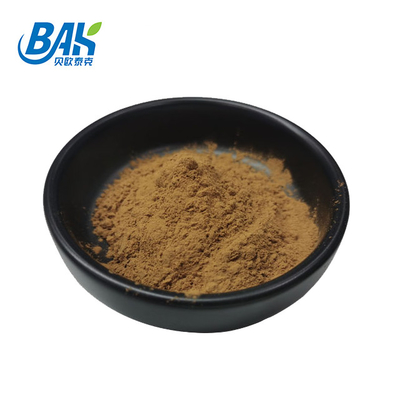 فروش داغ HPLC UV Bacopa Monnieri استخراج پودر قهوه ای زرد 100٪ عبور 80 میش