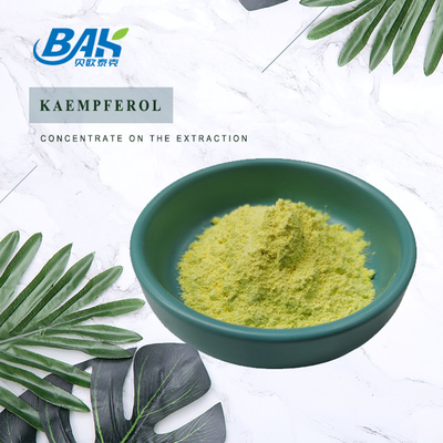 BAK کیفیت بالا Cas 520-18-3 مکمل های تقویت کننده ایمنی پودر Kaempferol 50٪ 90٪ 98٪