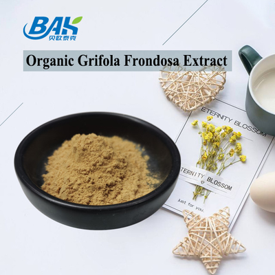 عصاره آلی Grifola Frondosa Beta Glucan 70٪ عصاره قارچ مکمل پودر UV VIS