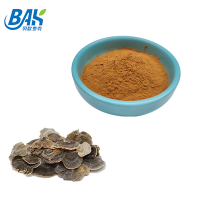 10%-50% مکمل عصاره قارچ Coriolous Versicolor پودر زرد قهوه ای