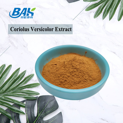 10%-50% مکمل عصاره قارچ Coriolous Versicolor پودر زرد قهوه ای