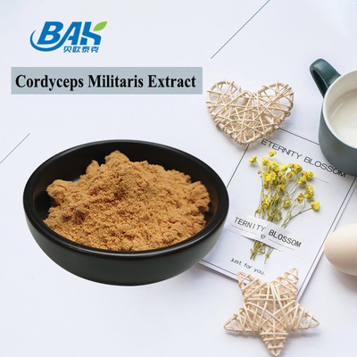 80 تا 120 ميش Cordyceps Militaris استخراج پودر کارخانه عرضه