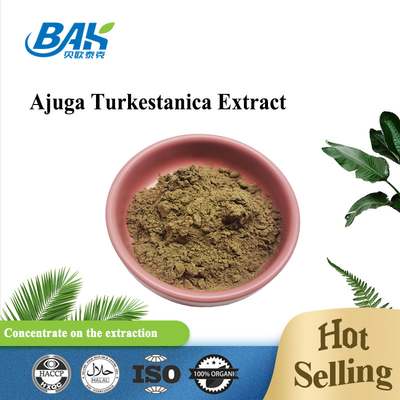 آنتی بیوتیک ضد قارچ عصاره پودر آجوگا ترکسترون 10%