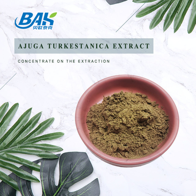 آنتی بیوتیک ضد قارچ عصاره پودر آجوگا ترکسترون 10%