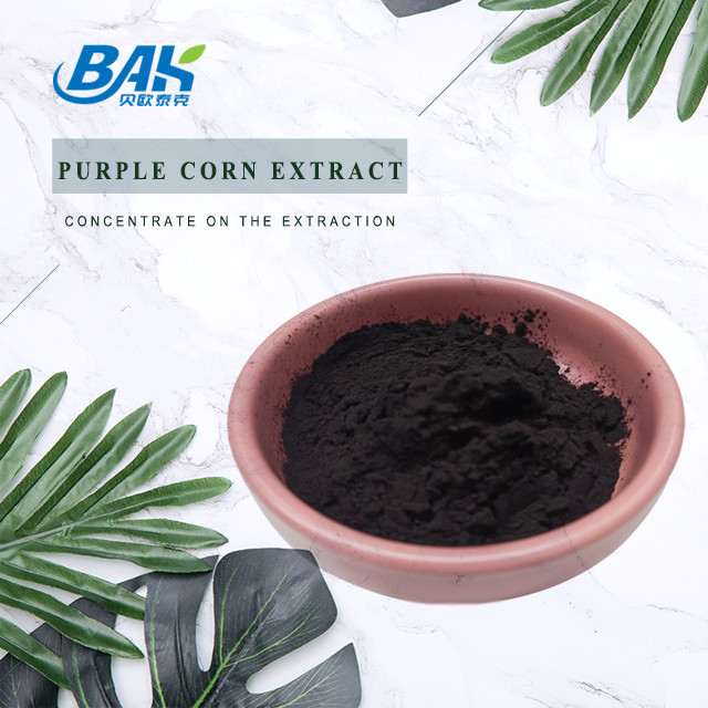 BAK Factory عمده فروشی آنتوسیانین 35٪ Zea Mays عصاره ذرت بنفش پودر بنفش تیره