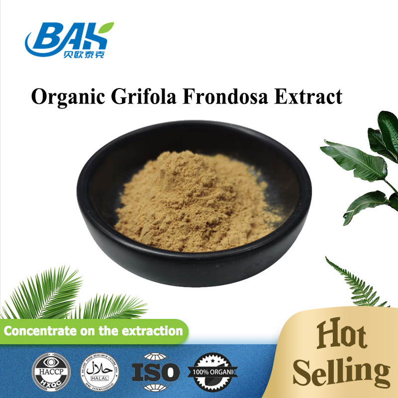 عصاره آلی Grifola Frondosa Beta Glucan 70٪ عصاره قارچ مکمل پودر UV VIS