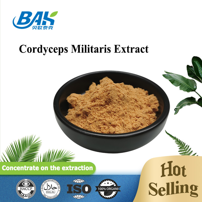 80 تا 120 ميش Cordyceps Militaris استخراج پودر کارخانه عرضه